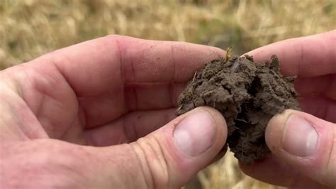 More Coins And Relics With The Xp Deus Ii Metal Detecting In Scotland 🏴󠁧󠁢󠁳󠁣󠁴󠁿 Youtube