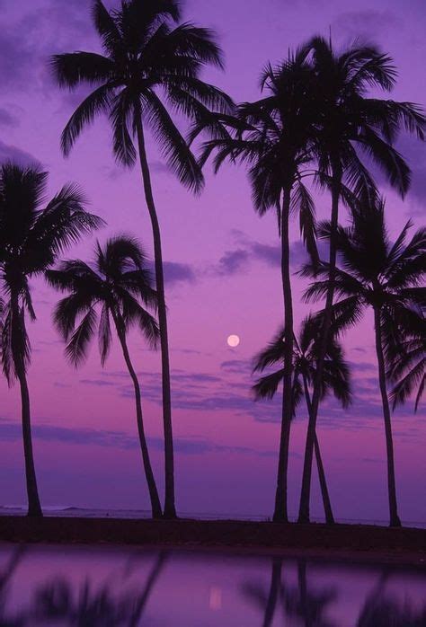 Purple Night Romantic Moon Palm Trees Let Yourself Relax This Moment