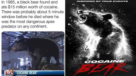 Cocaine Bear (2023 Film): Trending Images Gallery (List View) | Know ...