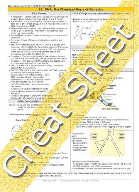 Chemical Basis Of Life Worksheet Answers [BEST]