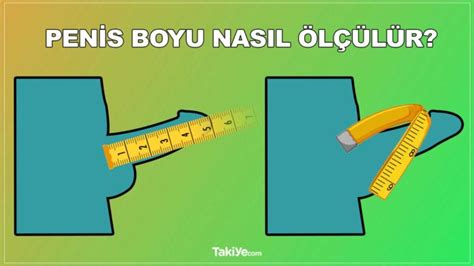 Ortalama Deal Penis Boyu Ka Cm Olmal D R Takiye