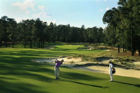 Pinehurst #1, Pinehurst, North Carolina - Golf course information and reviews.