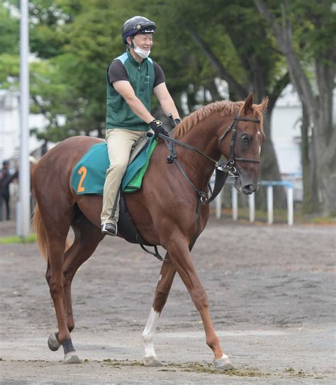 【pog】米国最強馬の遺伝子継ぐ良血馬、ポイズンアロウいざ出陣 横山武は高評価 競馬ニュース Netkeiba