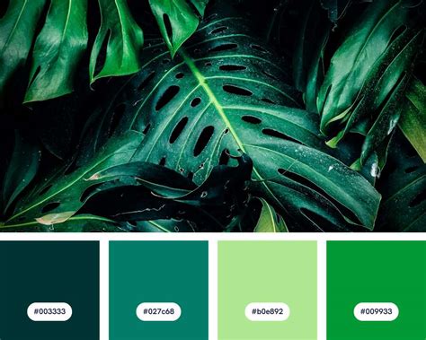 25 Green Color Palette Combinations (2024)