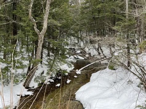 Best Hikes and Trails in Bear Notch Ski Touring Center Trails | AllTrails