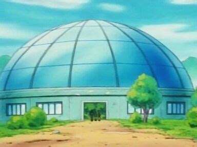 Pok Mon Arena Von Azalea City Pok Wiki