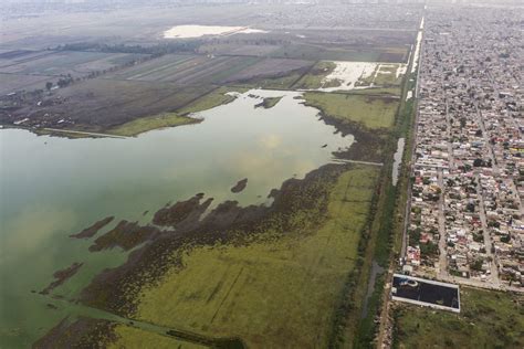 Xico Una Laguna Que Busca Regresar Los Paisajes Lacustres A Nuestra Ciudad