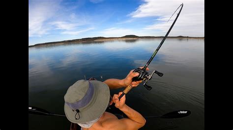 Topwater Buzzbait Blow Ups And Big Creature Bait Action Bass Manager