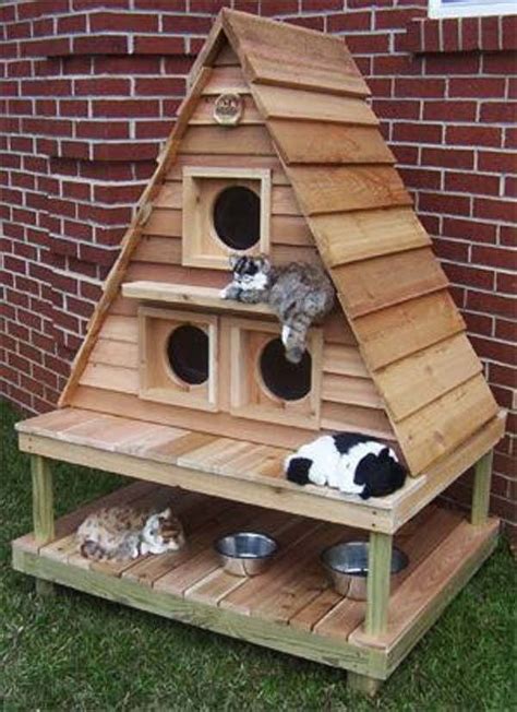 Construire Abri Pour Chat Exterieur