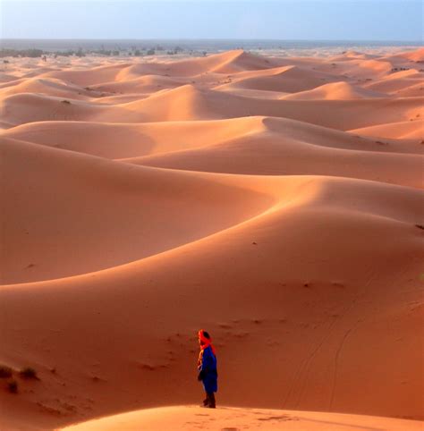 Westelijke Sahara Roepende In De Woestijn Columbus Travel