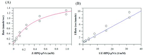 The Substrate Concentration Dependence Of Catalytic Rate Of Bga1903