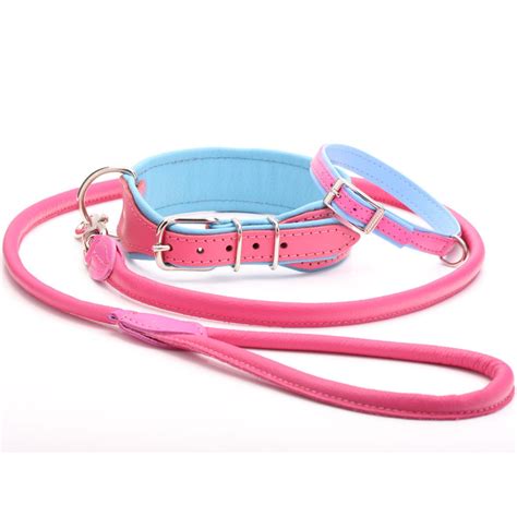 Ensemble Collier Et Laisse Pour Chien En Cuir Rose Et Bleu Fait La Main