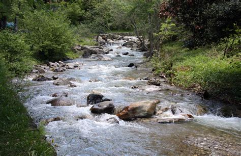 Nelliyampathi Places to visit | Nelliyampathi Kerala