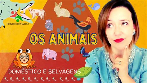 Animais Em Portuguêsvocabulário Animais Domésticos E Selvagens Youtube