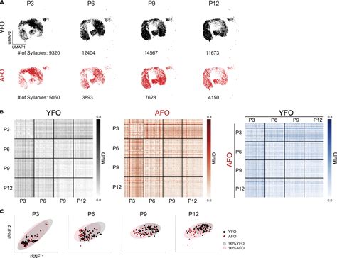 Advanced Paternal Age Diversifies Individual Trajectories Of