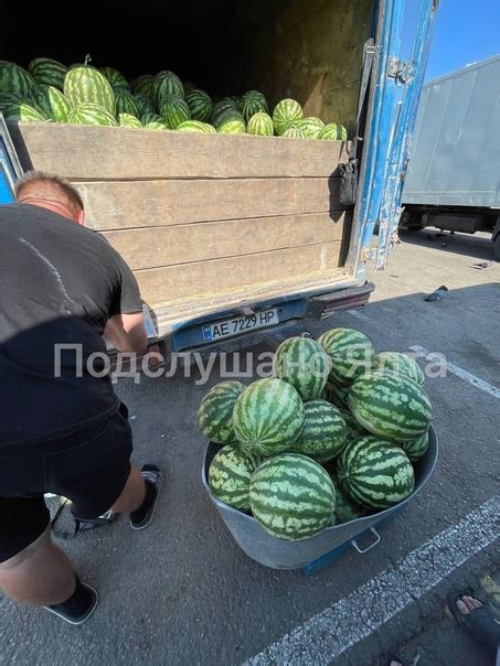 Арбуз херсонский 15 руб за килограмм. Симферополь. | ПОДСЛУШАНО ЯЛТА
