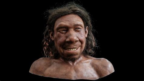 Lumpy tumor shown on facial reconstruction of Neanderthal who lived on ...
