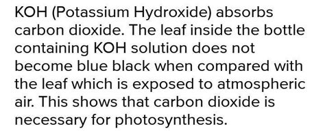 In Mohls Half Leaf Experiment What Is The Special Condition Inside The