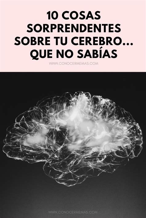 10 Cosas sorprendentes sobre tu cerebro que no sabías