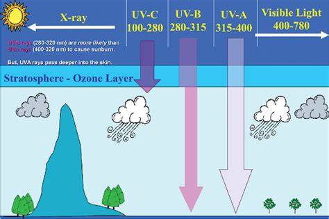 What Are The Ultraviolet Rays Beneficial And Harmful Effects Of Uv