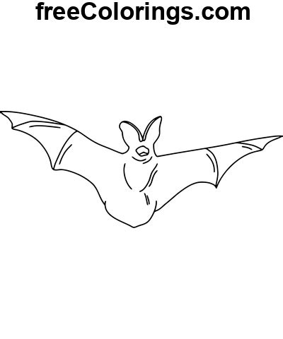 Outline Bat Outline – Free Printable Coloring Pages