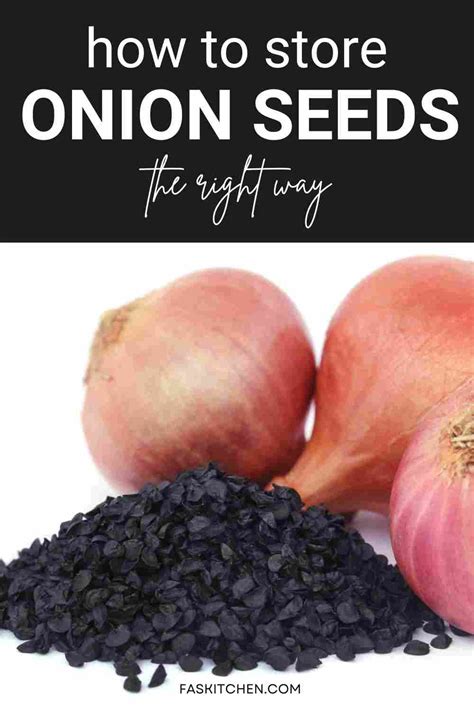 Onion Seeds 101: Nutrition, Benefits, How To Use, Buy, Store | Onion ...