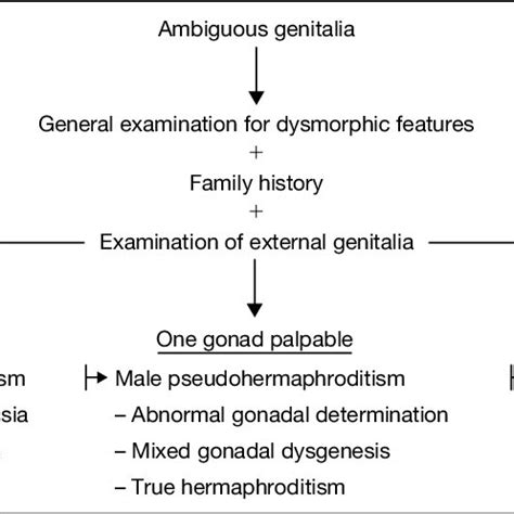 Differential diagnosis formulated at completion of the clinical ...