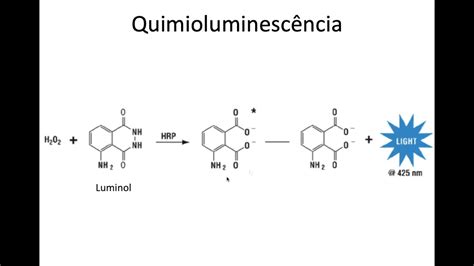 O Que Quimioluminesc Ncia Sololearn