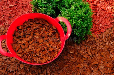 Mulching Soil Cover Made Of Natural Materialsdecorative Chips Garden