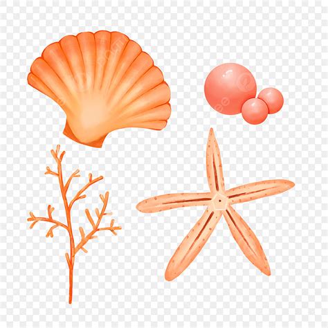 Watercolor Seashells Png Image Seashell Marine Watercolor Creatures