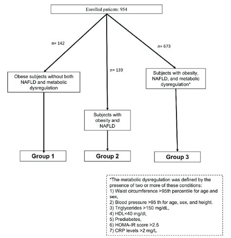 Flow Chart Summarizing The Criteria For The Inclusion In The