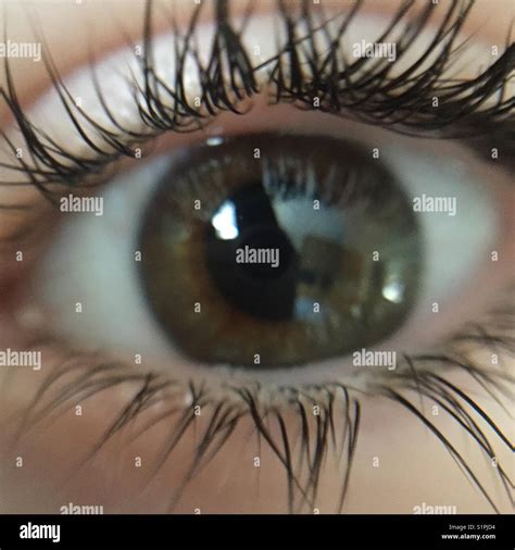 Eye close up Stock Photo - Alamy