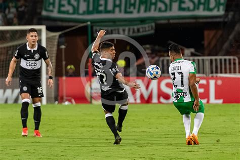 GalerÍa De Fotos Atlético Nacional Y Olimpia Se Reparten Los Puntos En