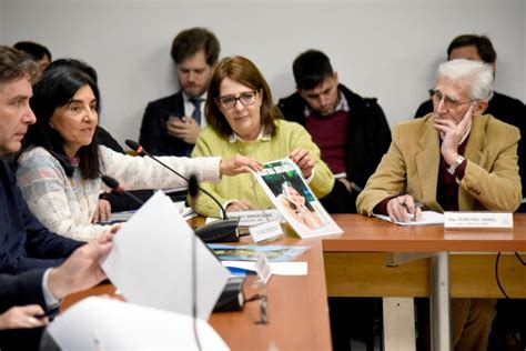 Madres Del Dolor Piden Al Congreso El Tratamiento Urgente De La Ley De