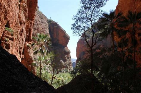 Mini Palms Gorge - Picture of Bungle Bungle Range, Purnululu National ...