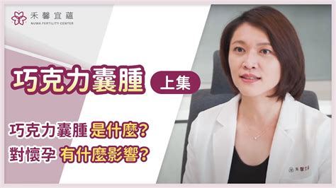 【巧克力囊腫常見問題 上集】巧克力囊腫是什麼？對懷孕有什麼影響？｜楊小萱醫師 Youtube