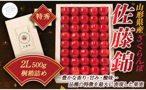 《先行予約》【山形の極み】さくらんぼ佐藤錦 500g 桐箱詰 F2y 5210 山形県｜ふるさとチョイス ふるさと納税サイト