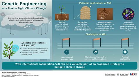 Engineering A Way Out Of Climate Change Genetically Modified Organisms