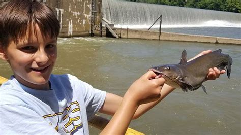 How To Catch Catfish Beneath Spillway Fishing For Catfish In River