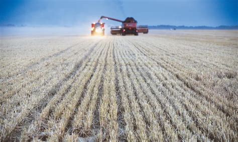 Russia Is Exporting More Wheat Than Any Country In 25 Years Newspaper