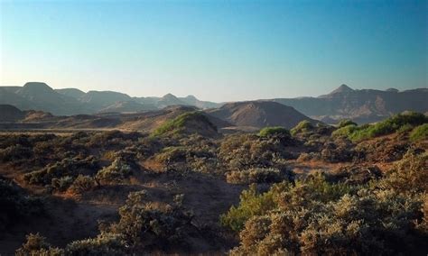 In Namibia, a Landscape Both Unforgiving and Awe-Inspiring | Stories | WWF