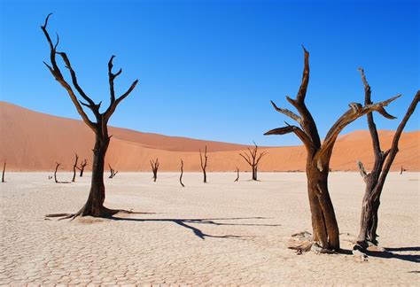 5 Reasons To Visit The Namib Desert In Namibia We Are Travel Girls Namib Desert Places To