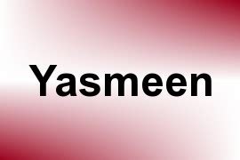 yasmeen   information  usage statistics