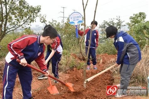 愛綠護綠從我做起 湖南師大懷化附屬學校師生家長義務植樹齊上陣 壹讀