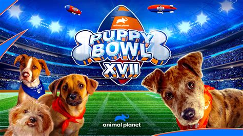 Puppy Bowl XVII: Team Ruff lineup