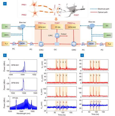 Photonic Integrated Neuro Synaptic Core For Convolutional Spiking