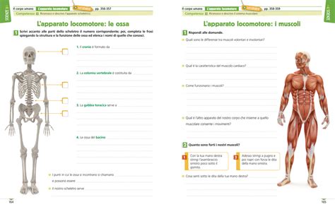 CampoBase 5 Quaderno Delle Competenze Area Matematico Scientifica