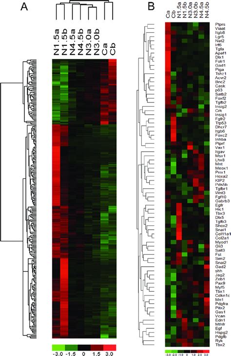 Hierarchical Clustering Heatmap Analysis Of Differentially Expressed Download Scientific