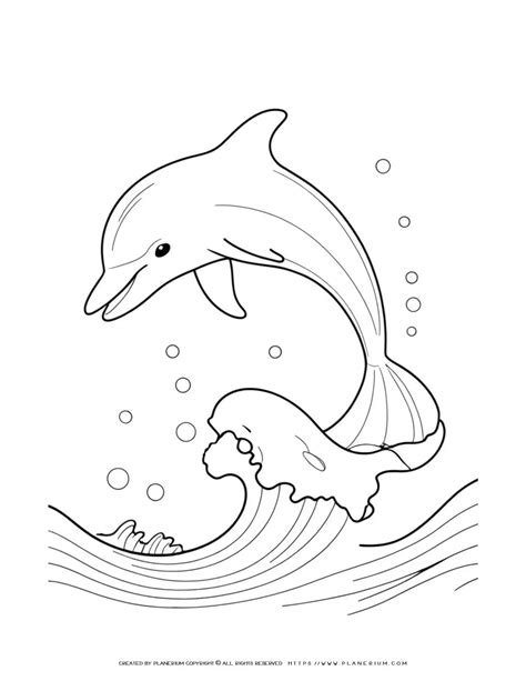 Coloring Sheet Dolphin Coloring Pages