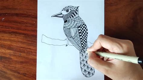 Bird Zentangle Art || Blue Jay Bird Zentangle || Zendoodle - YouTube